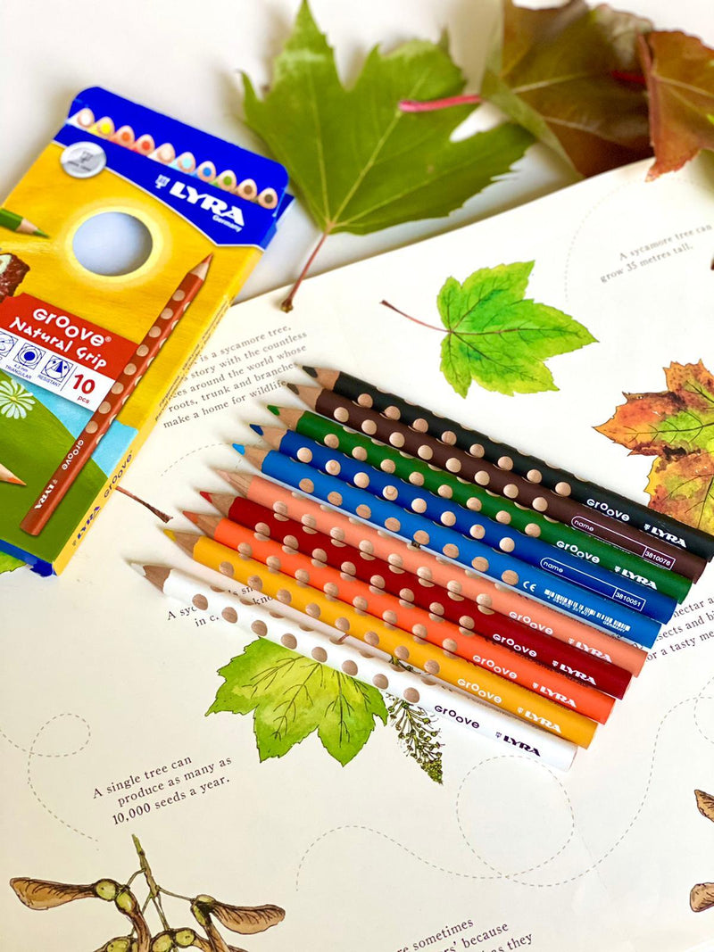 Lyra Groove Coloured Pencils - 10 pencils - My Playroom 