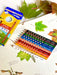 Lyra Groove Coloured Pencils - 10 pencils - My Playroom 
