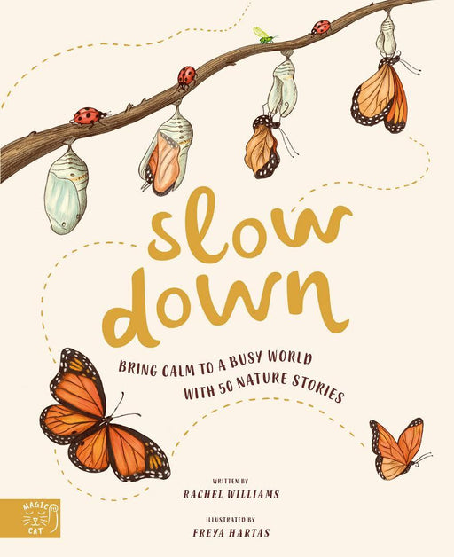Slow Down (Hardcover) - My Playroom 