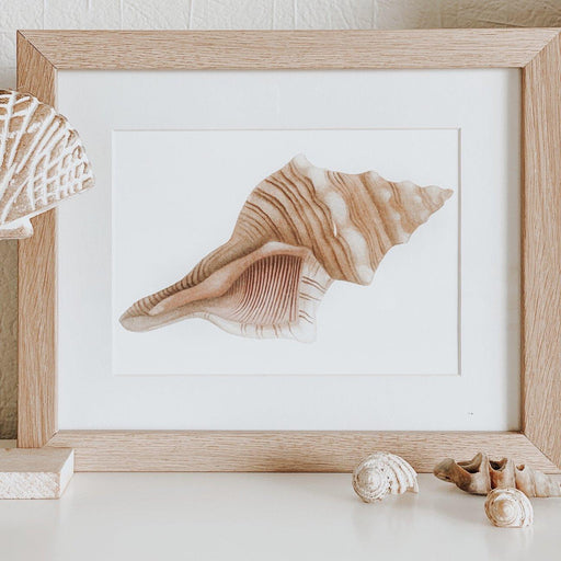 Jo Collier Horse Conch Shell Print A5 - My Playroom 