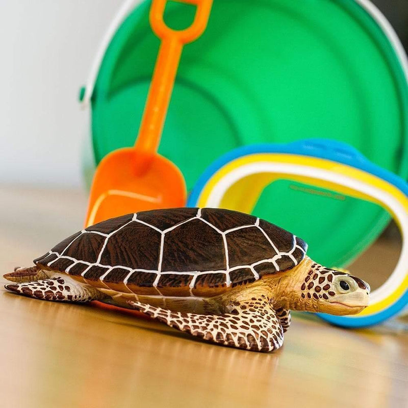 Simone's Turtle Collection Sea Turtle Figurine by Safari Ltd Extra Large Sea Life Collection Incr ...
