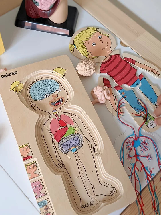 Beleduc 5 Layer Human Anatomy Puzzle Girl 4yrs+ - My Playroom 