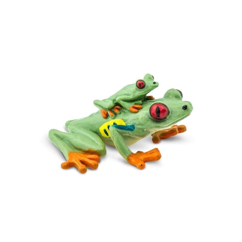 Red-eyed Tree Frog Figurine by Safari Ltd Woodland Collection Animal F ...