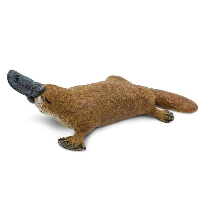 Platypus Australian Figurine - My Playroom 
