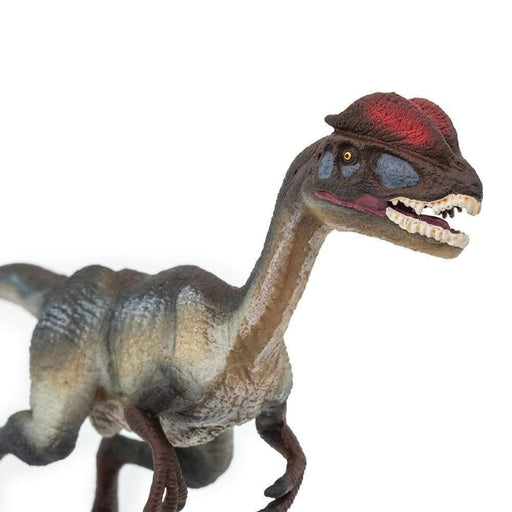 Dilophosaurus Figurine Large Dinosaur and Prehistoric World Collection - My Playroom 