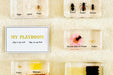 Life Cycle Specimens of a Honeybee 6yrs+ - My Playroom 