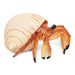 Hermit Crab Incredible Creature Figurine - My Playroom 