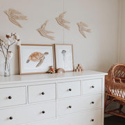 Jo Collier Turtle Terrance Print A4 - My Playroom 