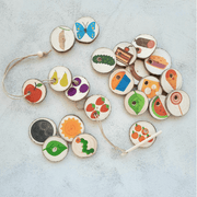 My Little Set Hungry Caterpillar Threading Tree Slices - Story Tellers - My Playroom 