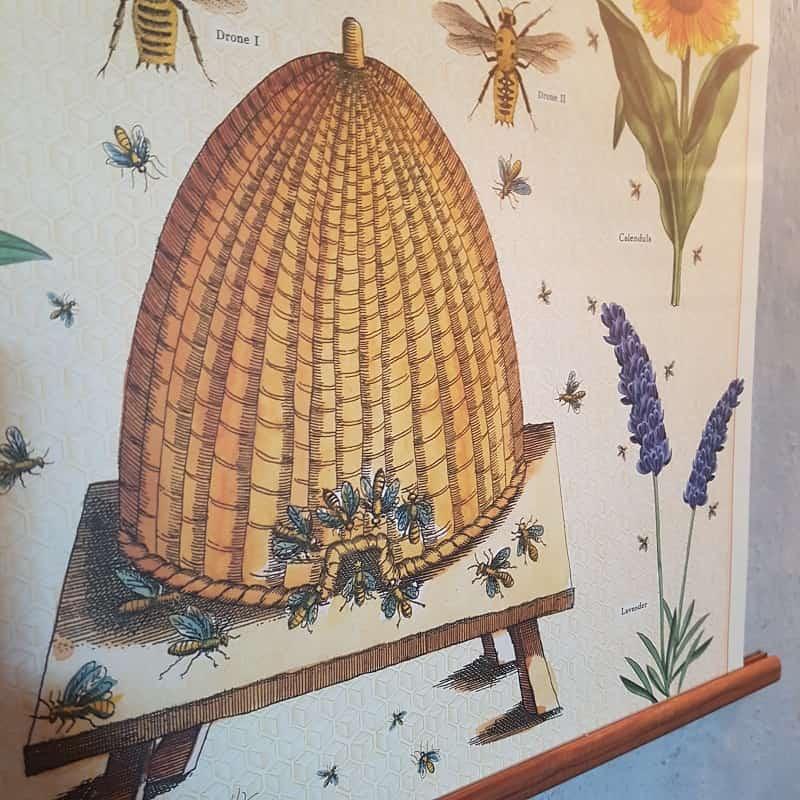 Playroom Poster – Bees & Honey - My Playroom 