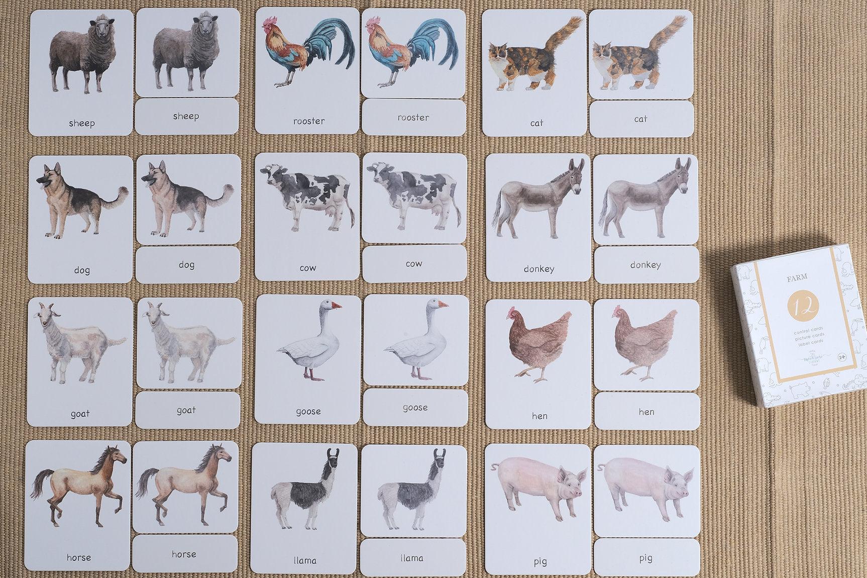 Montessori 3 Part Cards Nomenclature Farm English — My Playroom