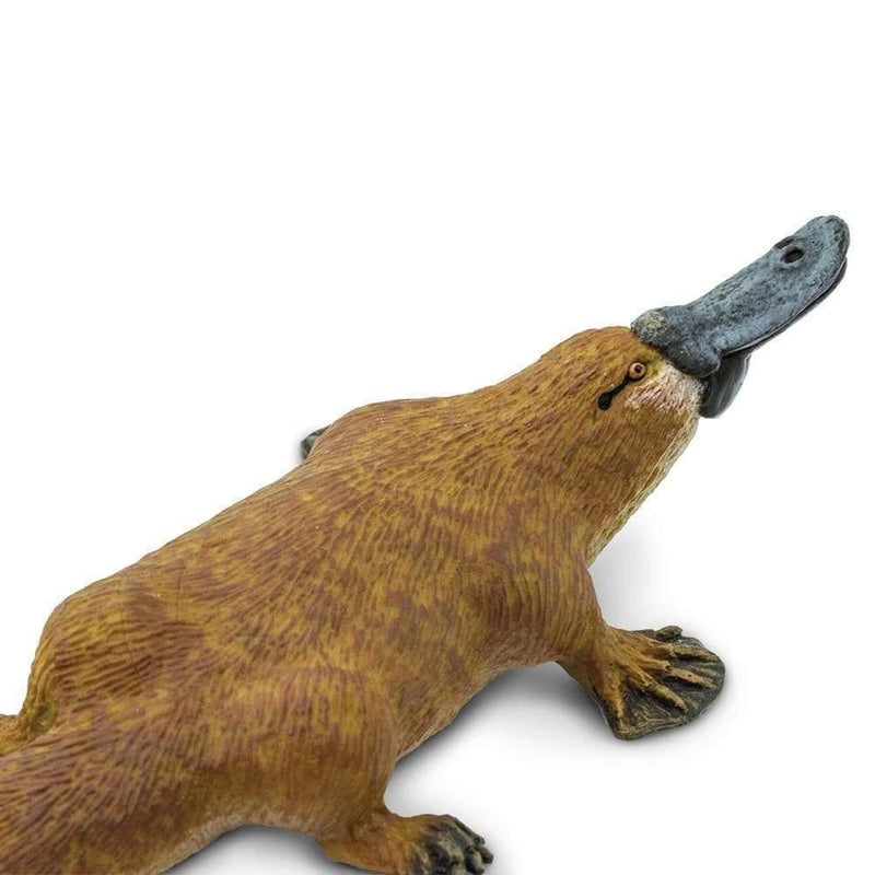 Platypus Australian Figurine - My Playroom 