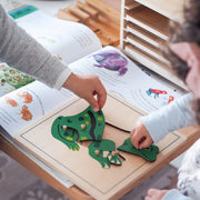 Frog Montessori Wooden Puzzle - My Playroom 