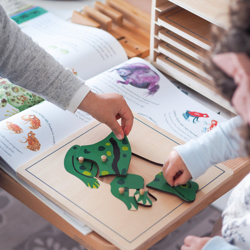 Frog Montessori Wooden Puzzle - My Playroom 