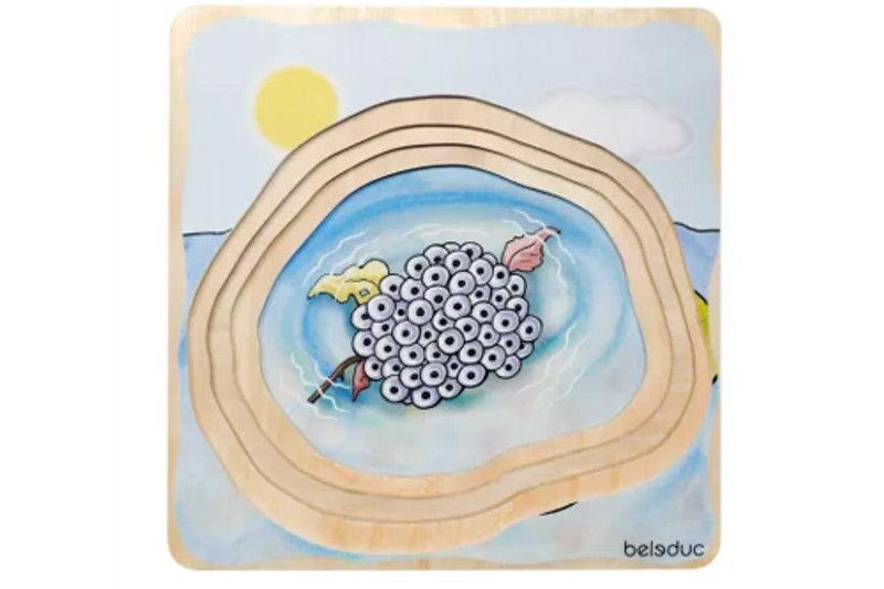 Life Cycle of a Frog Wooden Numbered Puzzle 4 Layers 4yrs+ By Beleduc - My Playroom 