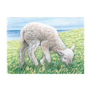 Goki Farm Animals Cube Puzzle 3yrs+ - My Playroom 