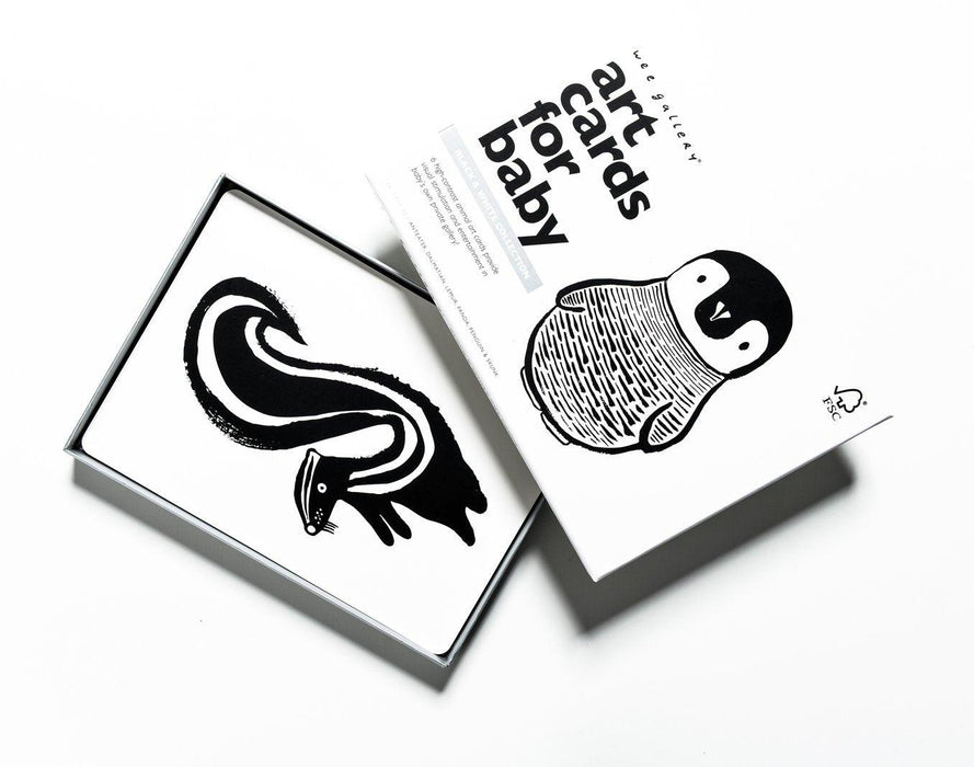 Wee Gallery Art Cards Black & White Collection - My Playroom 