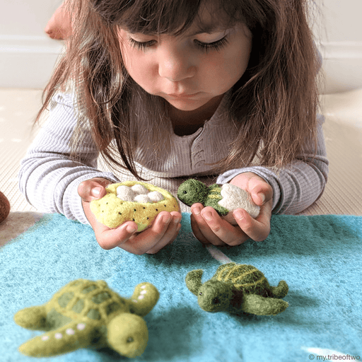 Tara Treasures Felt Life Cycle of Green Sea Turtle - My Playroom 