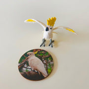 Australian Animals Safari Ltd 7 Piece Playset - My Playroom 