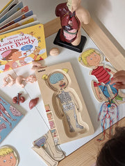 Beleduc 5 Layer Human Anatomy Puzzle Girl 4yrs+ - My Playroom 