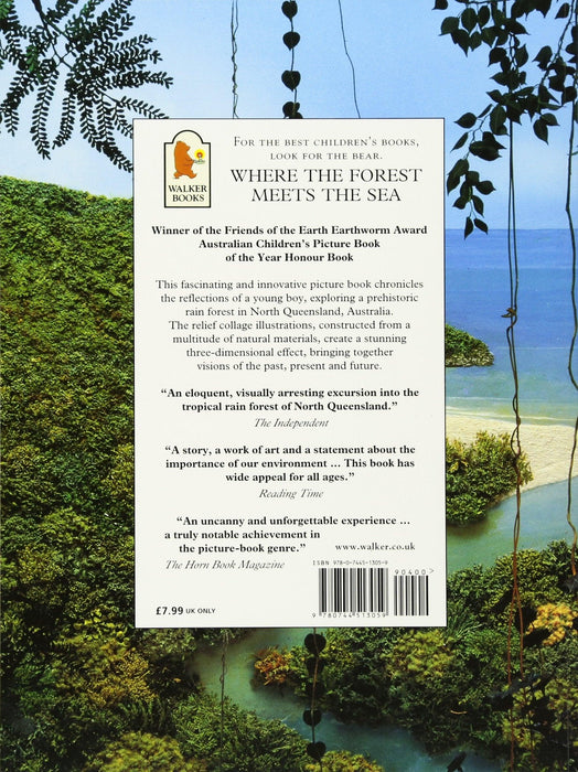 Where the Forest Meets the Sea (Paperback) - My Playroom 
