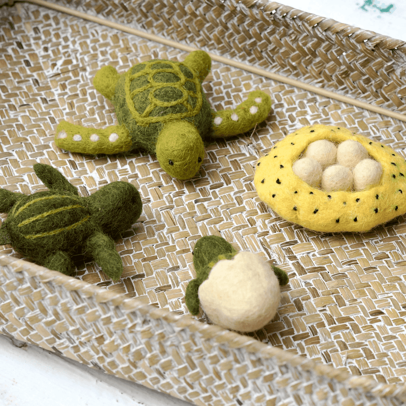 Tara Treasures Felt Life Cycle of Green Sea Turtle - My Playroom 