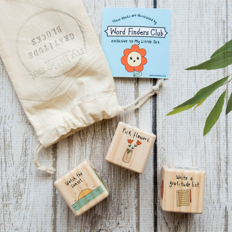 My Little Set Gratitude Blocks - My Playroom 