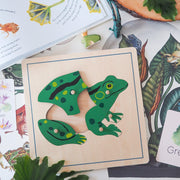 Frog Montessori Wooden Puzzle - My Playroom 