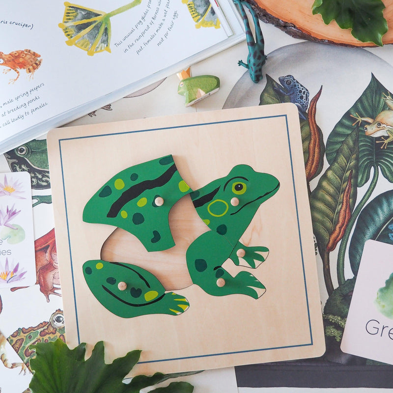 Frog Montessori Wooden Puzzle - My Playroom 