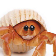Hermit Crab Incredible Creature Figurine - My Playroom 