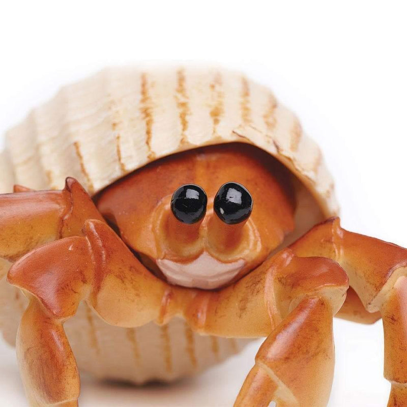Hermit Crab Incredible Creature Figurine - My Playroom 