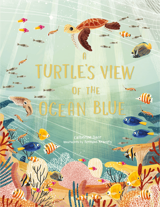 A Turtle's View of the Ocean Blue (Hardcover) - My Playroom 
