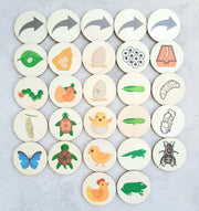 My Little Set Wooden Life Cycle Sets of Bee Frog Butterfly Turtle Chicken - My Playroom 