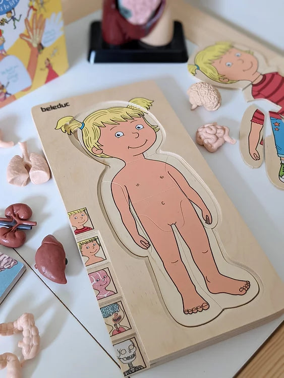 Beleduc 5 Layer Human Anatomy Puzzle Girl 4yrs+ - My Playroom 