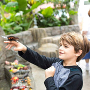 Monarch Butterfly Figurine - My Playroom 