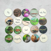 My Little Set Creepy Crawlies Story Tellers - My Playroom 