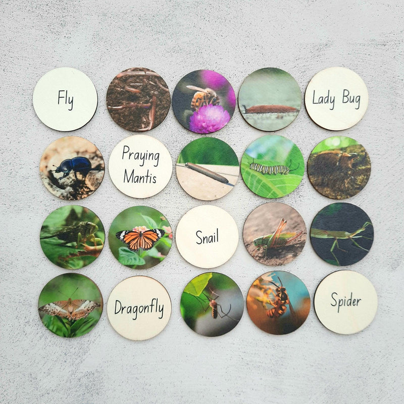 My Little Set Creepy Crawlies Story Tellers - My Playroom 