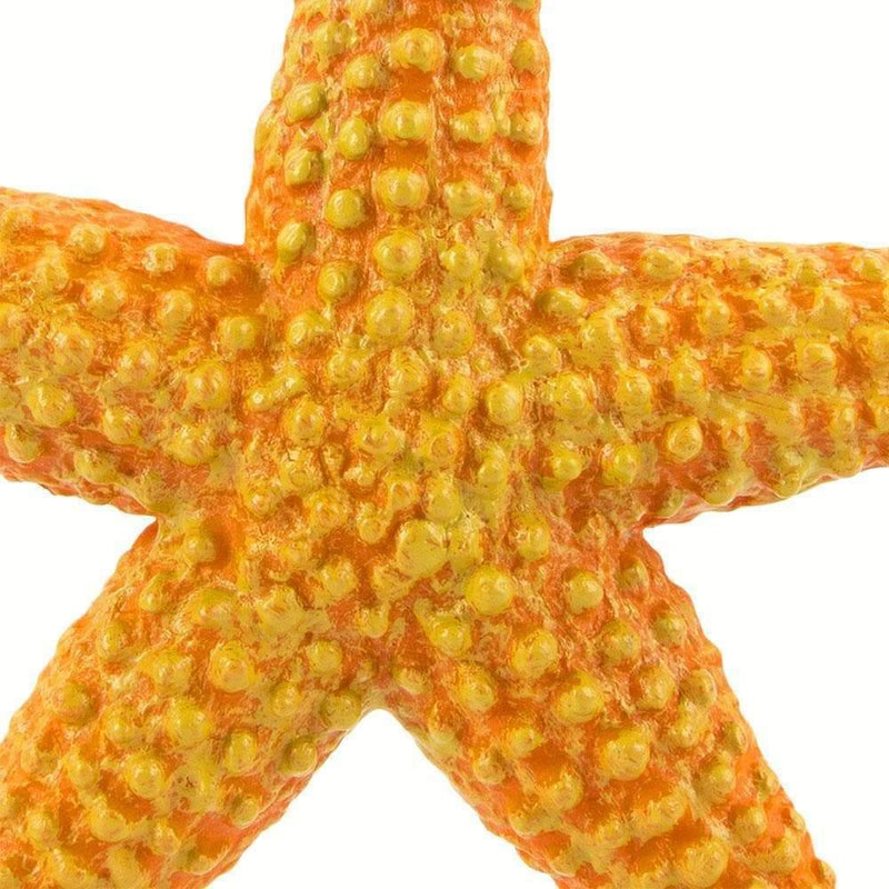 Starfish Ocean Figurine - My Playroom 