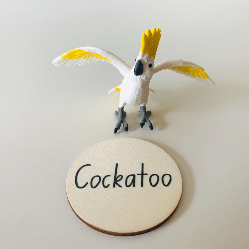 Australian Animals Safari Ltd 7 Piece Playset - My Playroom 