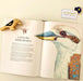 Australian Birds - Tactile Illustration (Hardcover) - My Playroom 