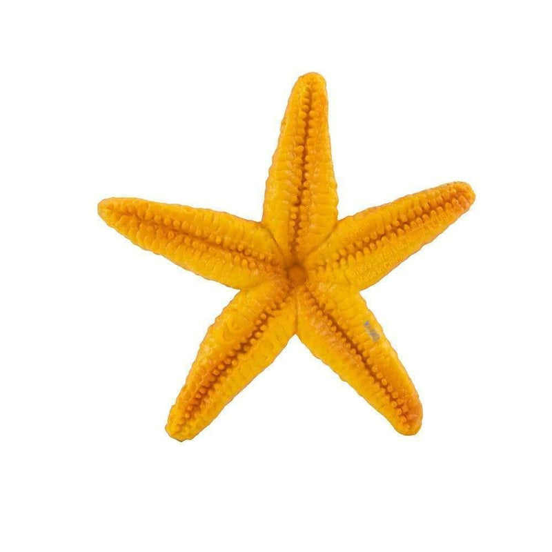 Starfish Ocean Figurine - My Playroom 