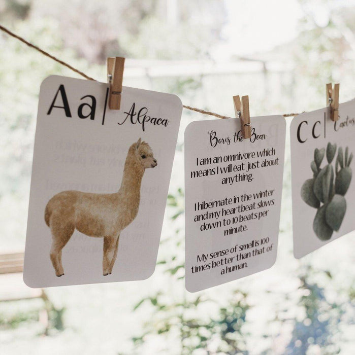 Jo Collier "Nature's ABC" Flashcards - My Playroom 