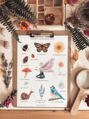 Jo Collier Nature's Scavenger Hunt Print A4 - My Playroom 