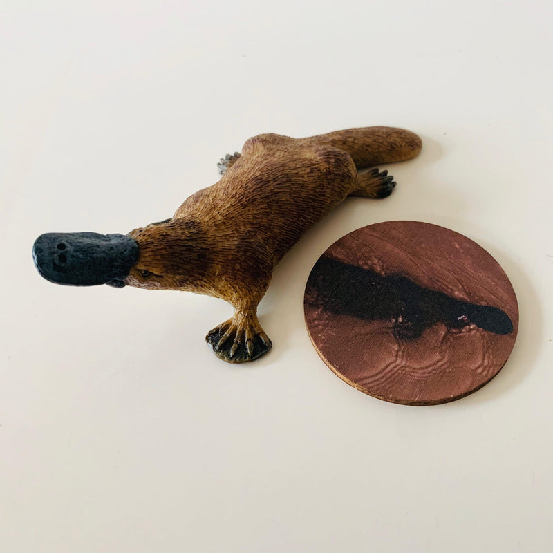 Australian Animals Safari Ltd 7 Piece Playset - My Playroom 