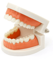 Brushing Teeth Activity Set with Tray - My Playroom 