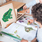 Frog Montessori Wooden Puzzle - My Playroom 