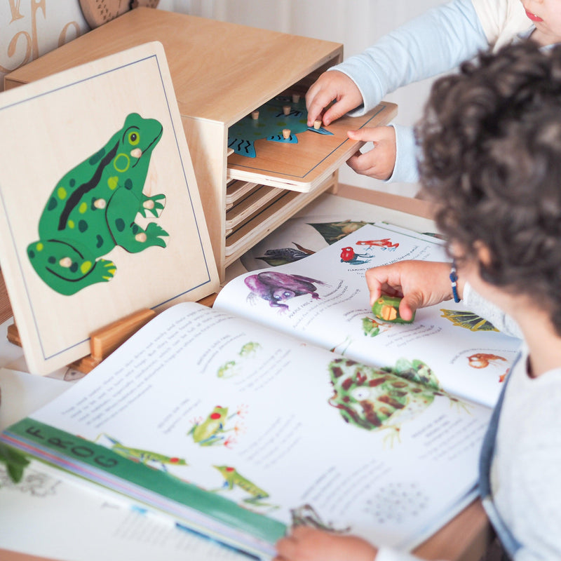 Frog Montessori Wooden Puzzle - My Playroom 