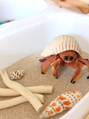 Hermit Crab Incredible Creature Figurine - My Playroom 