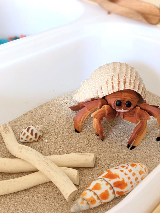 Hermit Crab Incredible Creature Figurine - My Playroom 