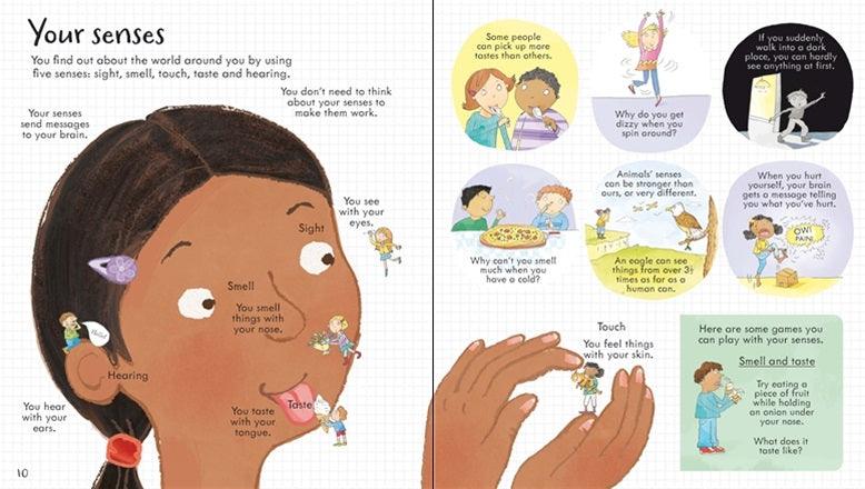 Look Inside Your Body (Board Book) - My Playroom 